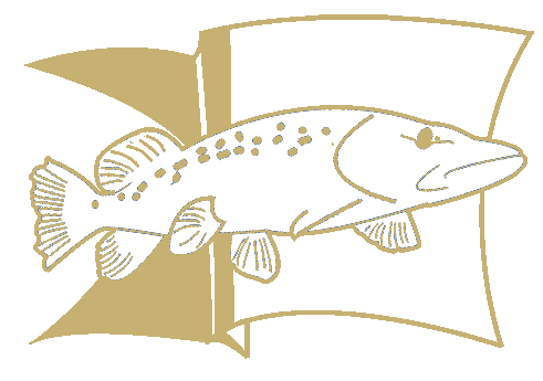 Логотип ИП Грамота Е.Б.